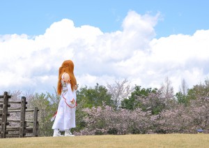 桜、初夏の空